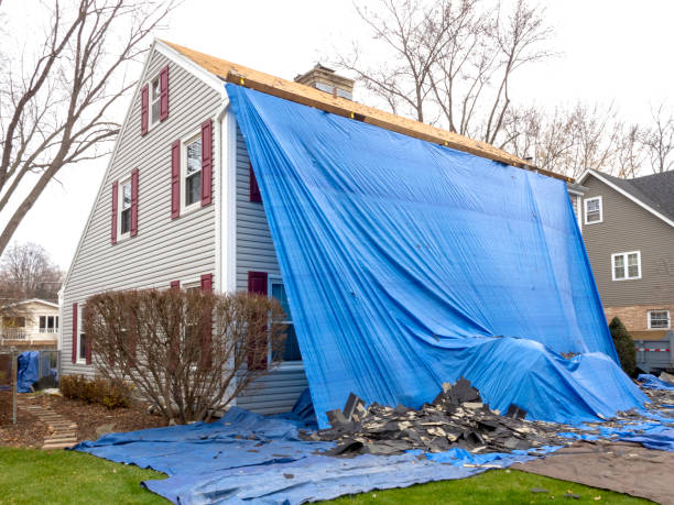 Best Siding for Commercial Buildings  in Accokeek, MD
